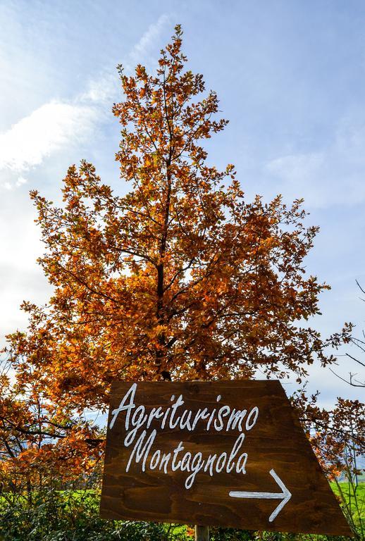 Agriturismo Montagnola Abruzzo Villa Casalanguida Dış mekan fotoğraf