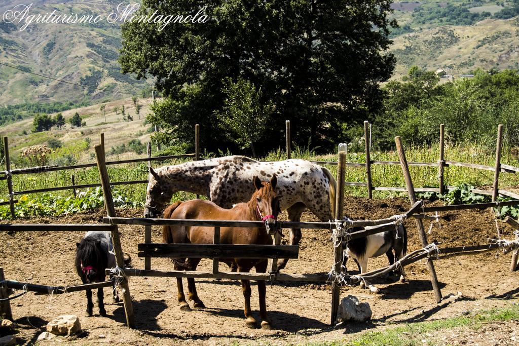 Agriturismo Montagnola Abruzzo Villa Casalanguida Dış mekan fotoğraf