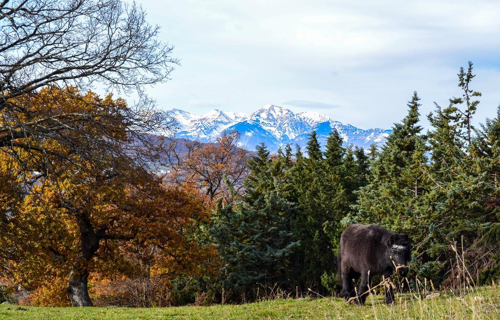 Agriturismo Montagnola Abruzzo Villa Casalanguida Dış mekan fotoğraf